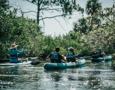 a group of people riding on the back of a boat