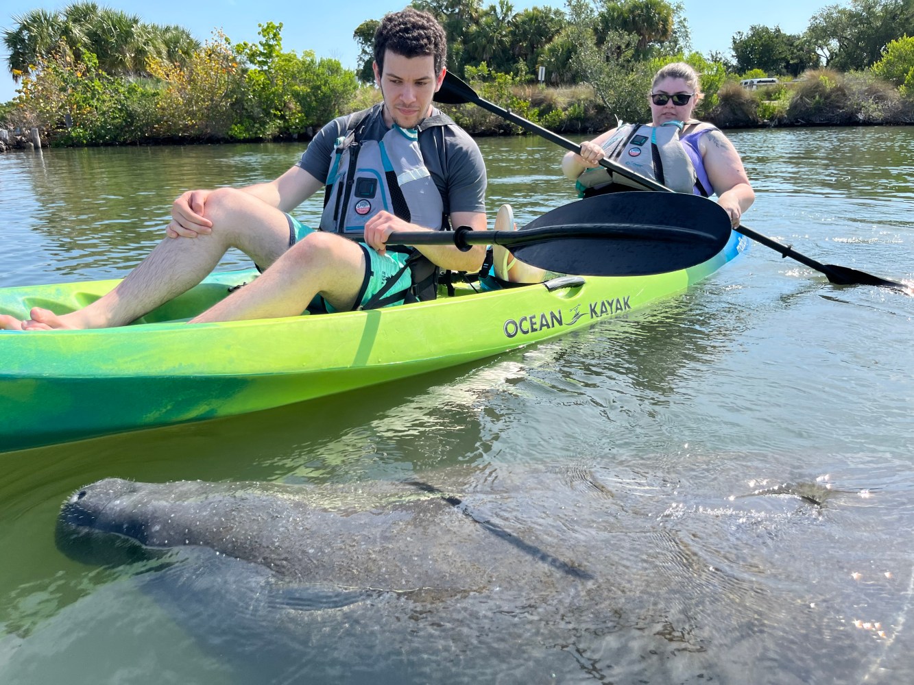 a group of people rowing a boat in a body of water